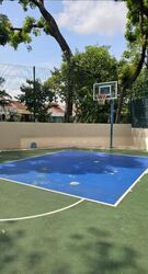 Cairnhill Crest (D9), Condominium #573319901